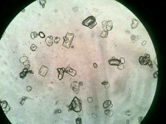 -荣耀金沙动物医院(清江西路店)