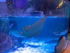 -沈阳海洋探索中心