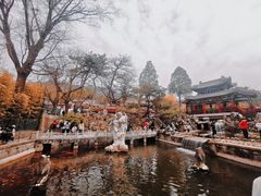 -红螺寺