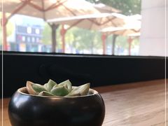 -Peet's Coffee皮爷咖啡(大学路店)