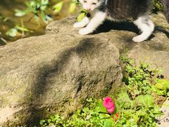 -驿舍·民國老营房院子私房菜(科学会堂店)