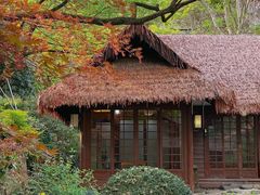 -中国茶叶博物馆(双峰馆区)