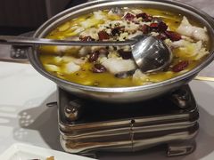 -刘胖子家常菜·蹄花焖藕(中南店)