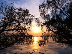 -宝安西湾红树林湿地公园