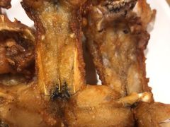 -铭记蛙小仙·活蛙畅享(CBD万达广场店)