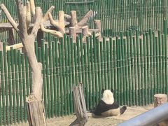 -沈阳森林动物园