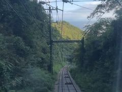 -神户市立六甲山牧场