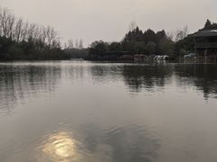 -溱湖国家湿地公园