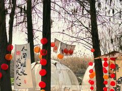 -同里国家湿地公园