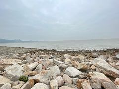 -野狸岛