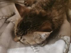 -么么咖啡(燕郊店)