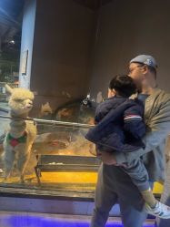 -未来动物城主题公园(正弘城店)