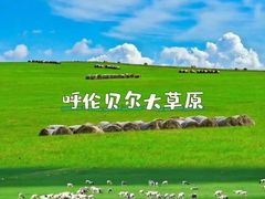 -呼伦贝尔大草原