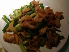 拌鸟贝-日丰园海肠水饺·老字号大连海鲜(和平广场店)