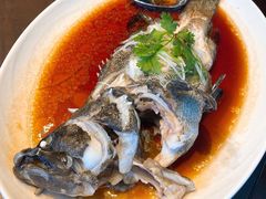 -大连君悦酒店·星海湾壹号Dalian·Dalian(星海广场店)