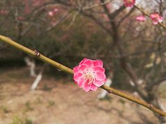 -白塘生态植物园