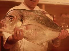 -镹·鱼料理  国产鱼使用店