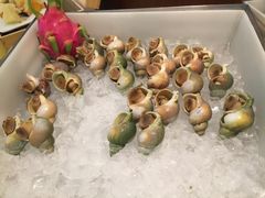 -苏州日航酒店-大堂酒廊(长江路店)