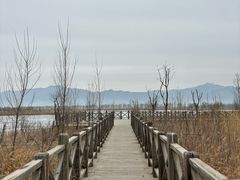 -野鸭湖国家湿地公园