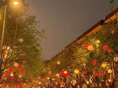 -大雁塔北广场音乐喷泉