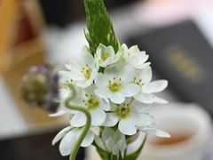 -德迹斋禅意文化茶馆·茶空间·商务洽谈•宴席(桃园店)