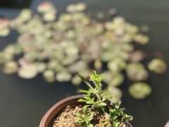 -东湖食堂·湖景餐厅•会议