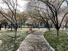 -西北湖绿化广场