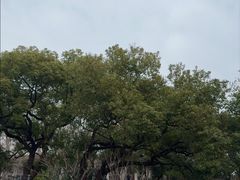 -杭州湖滨in77