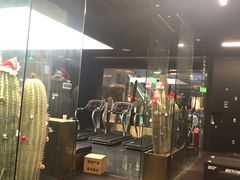 -TOP健身私教工作室(侨香店)
