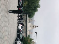 -塔尔寺-菩提树