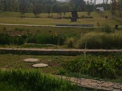 -两河城市森林公园