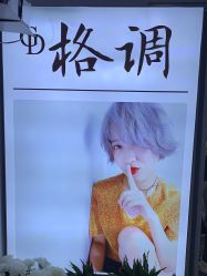 -格调形象