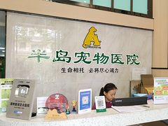 -半岛宠物医院24小时(科华中路店)