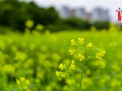 -长春公园(普阳街道)