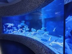 -成都浩海立方海洋公园