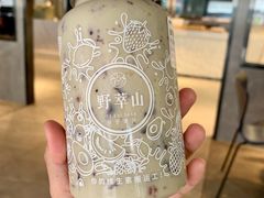 -野萃山·潮汕厚果汁(十亩地店)