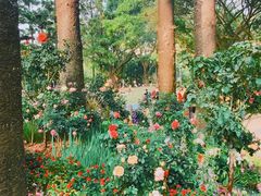 -人民公园(罗湖区)