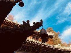 -潭柘寺景区