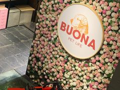 -百好乐宠物友好餐厅(朝外大街店)