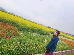 -光明小镇欢乐田园
