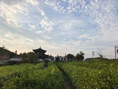 -双门农庄(南源岭店)