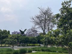 -眉山湿地公园(东坡区)