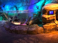 -沈阳海洋探索中心