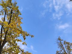 -苏州太湖湖滨国家湿地公园