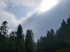 -武陵山森林公园