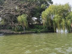 -西湖游船