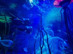 -沈阳海洋探索中心