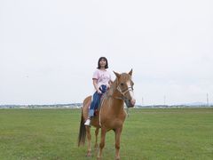 -乌兰布统草原