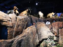 -陕西自然博物馆