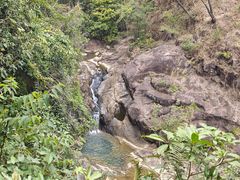 -广州白江湖森林公园